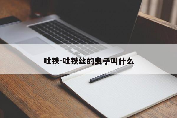 吐铁-吐铁丝的虫子叫什么